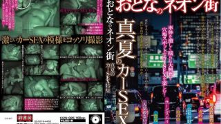 おとなのネオン街 真夏のカーSEX特集